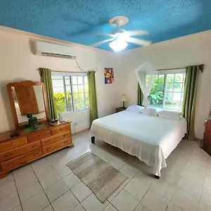 Green's Palace Jamaica Gasthof